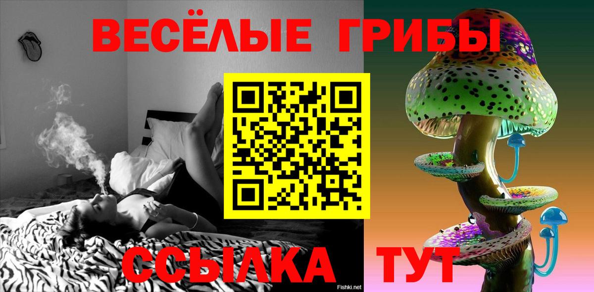 Зеленогорск  Галлюциногенные грибы MAGIC MUSHROOMS  Вход с VPN 